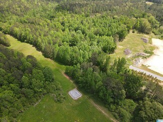 Plus de détails pour 00 Highway 9, Heflin, AL - Terrain à vendre