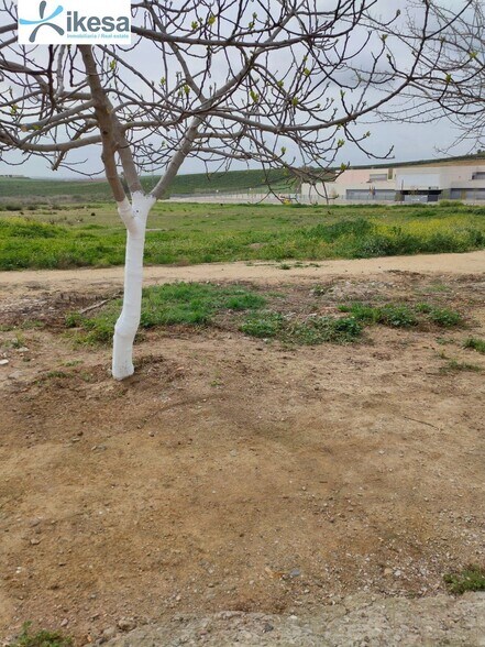 Terrain dans Burguillos, Sevilla à vendre - Photo de l’immeuble – Image 3 sur 21