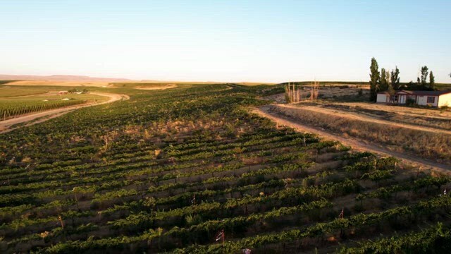 24013 Arena Valley Rd, Parma, ID à vendre - Vidéo sur l’annonce professionnelle – Image 2 sur 10