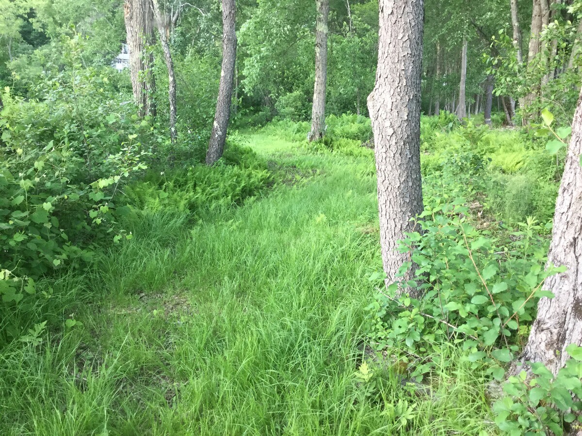 View Photo