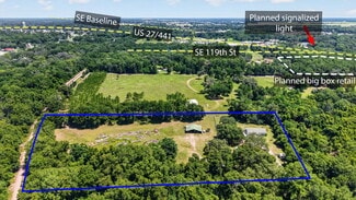 Plus de détails pour 12176 US-441, Belleview, FL - Terrain à vendre