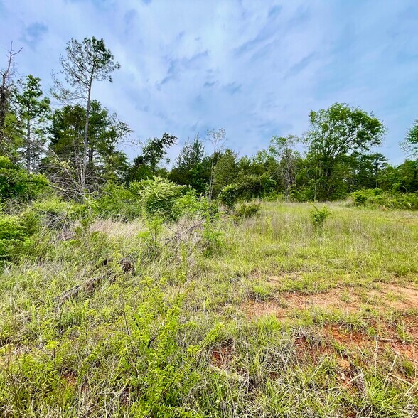TBD County Road 336, Tyler, TX à vendre - Photo de l’immeuble – Image 3 sur 11