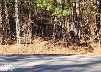 Plus de détails pour 0 S Sauty Rd, Langston, AL - Terrain à vendre