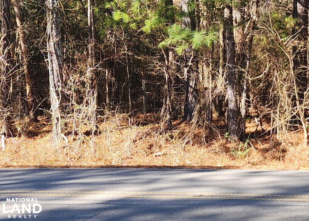 0 S Sauty Rd, Langston, AL à vendre Photo principale– Image 1 sur 11