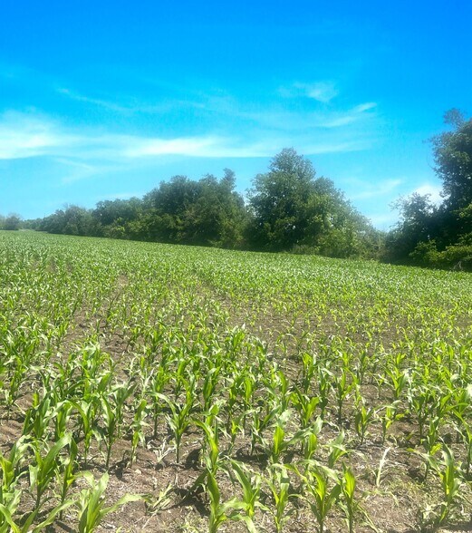 State Highway 53 & Little Flock Road, Temple, TX à vendre - Photo de l’immeuble – Image 2 sur 4