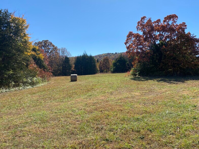 Creel Road, Harrison, AR à vendre - Photo intérieure – Image 2 sur 12