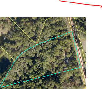 Plus de détails pour 208 Old Cuyler Rd, Ellabell, GA - Terrain à vendre