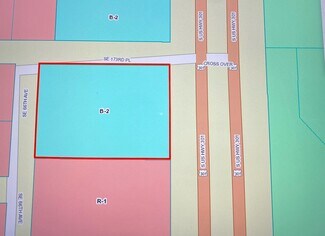 Plus de détails pour S US 301 Hwy, Summerfield, FL - Terrain à vendre