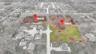 Plus de détails pour 464 Todd Ct, Braidwood, IL - Terrain à vendre