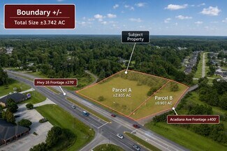 Plus de détails pour 32880 LA Highway 16, Denham Springs, LA - Terrain à vendre
