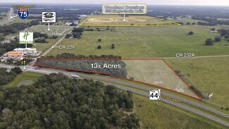 Plus de détails pour SR 44 & CR 229, Wildwood, FL - Terrain à vendre