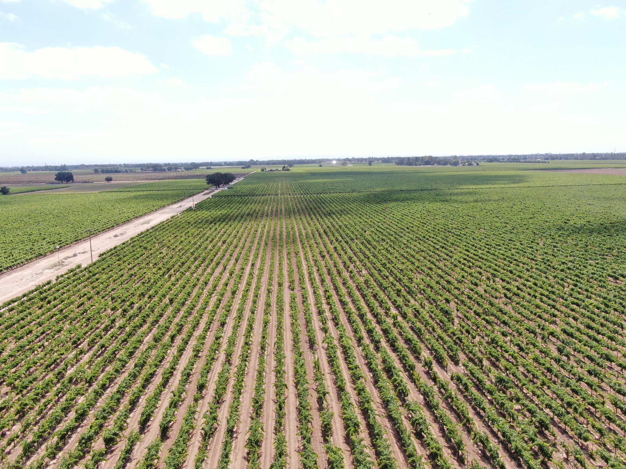 20271 N Devries Rd, Lodi, CA à vendre Photo principale– Image 1 sur 7