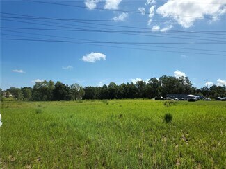 Plus de détails pour SE Maricamp, Ocala, FL - Terrain à vendre