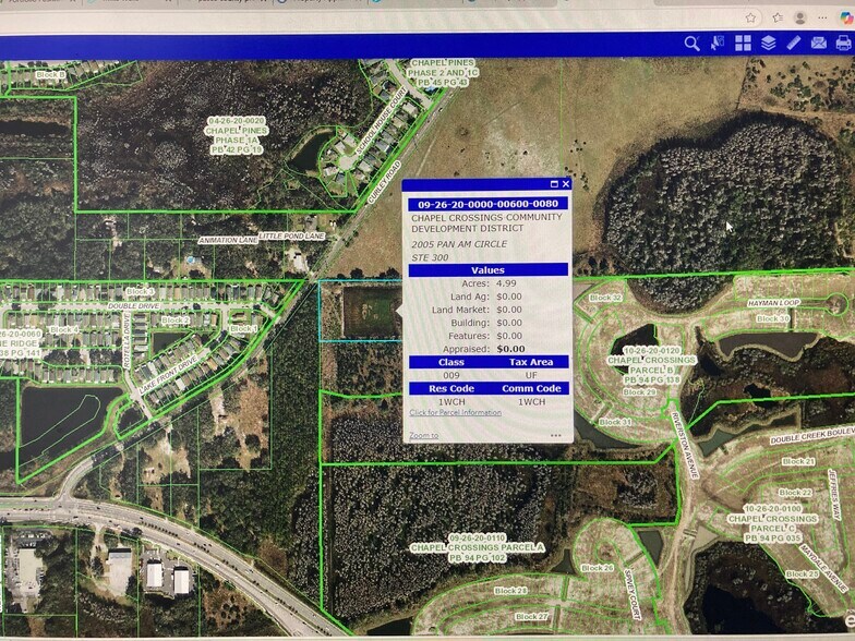 Curley Rd, Wesley Chapel, FL à vendre - Plan de site – Image 1 sur 1