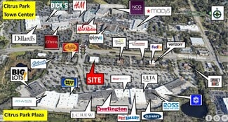 Plus de détails pour 8314 Citrus Park Dr, Tampa, FL - Local commercial à louer