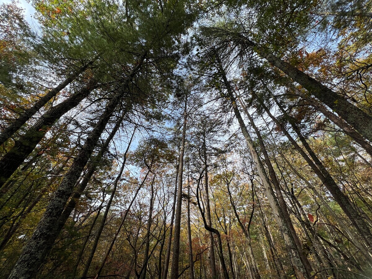 View Photo
