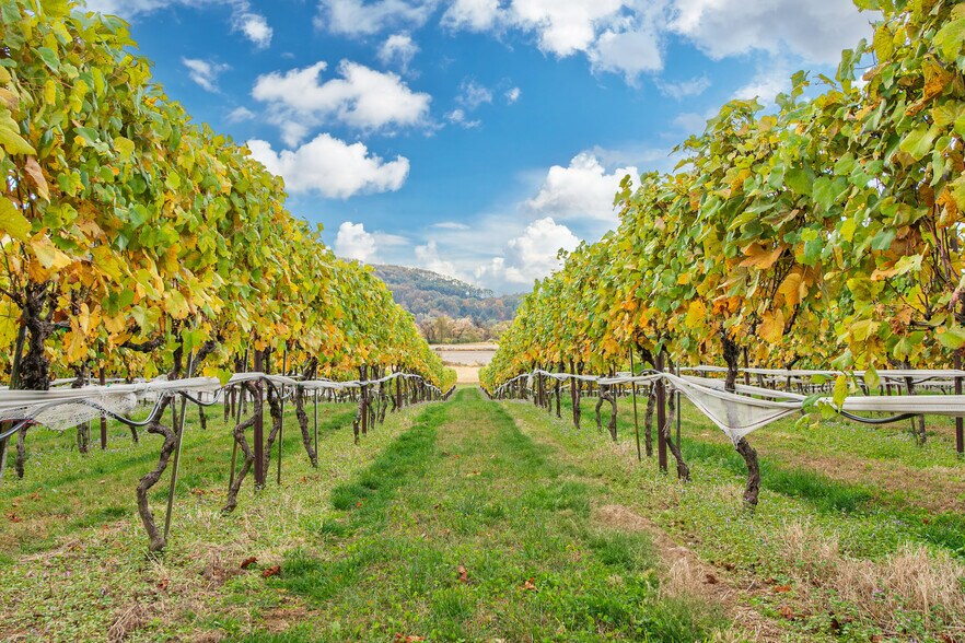 33 County Road 627, Phillipsburg, NJ à vendre - Photo principale – Image 3 sur 43