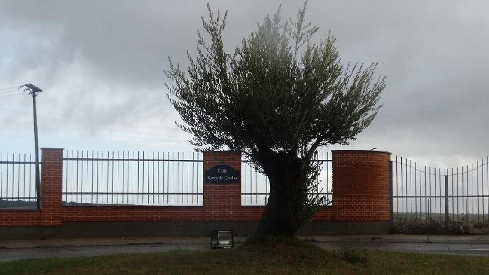 Terrain dans Buenavista, Salamanca à vendre - Photo principale – Image 2 sur 3