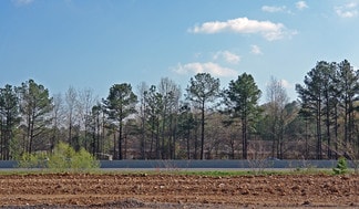 Plus de détails pour Lot 5 Lewis Lake Ln, Pell City, AL - Terrain à vendre