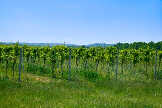 Plus de détails pour 497 Line 5 Rd, Niagara-On-The-Lake, ON - Terrain à vendre