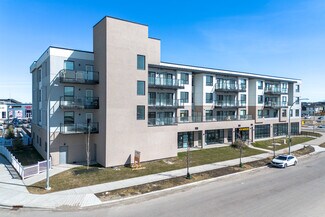 Plus de détails pour 70 Saddlepeace Rd NE, Calgary, AB - Local commercial à louer