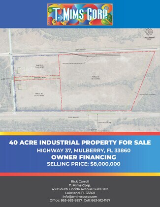 Plus de détails pour 0 Highway 37, Mulberry, FL - Terrain à vendre