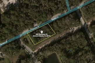 Plus de détails pour 560 Sterthaus Dr, Ormond Beach, FL - Terrain à vendre
