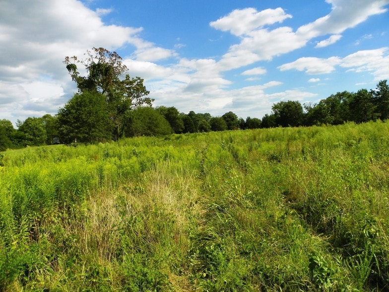 John J Williams Hwy, Millsboro, DE à vendre - Autre – Image 2 sur 6