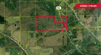 Plus de détails pour 375 Old Newark Valley rd, Endicott, NY - Terrain à vendre