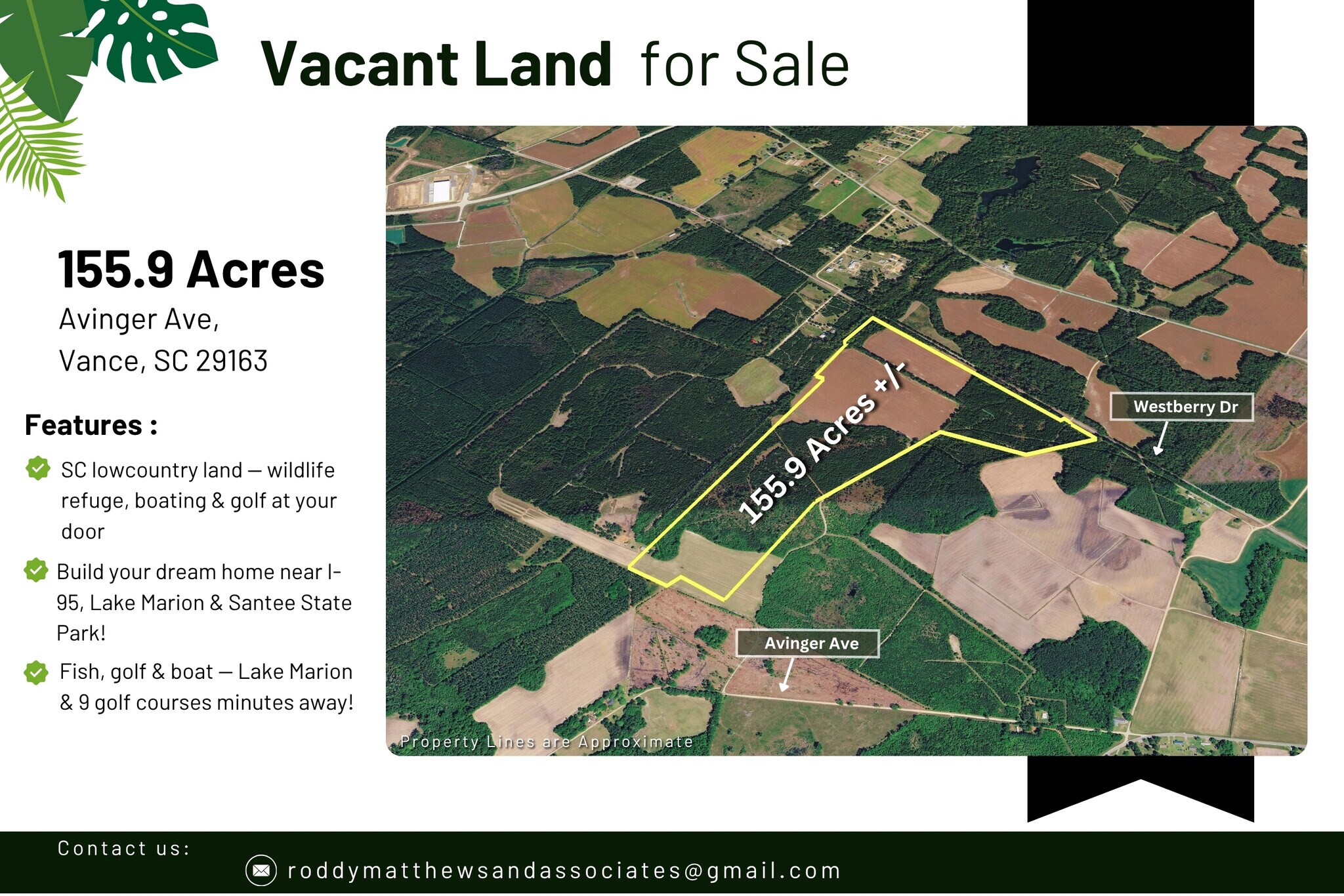 0 155.9 ac Westberry Dr, Vance, SC à vendre Photo principale– Image 1 sur 23