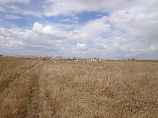 Terrain dans Cáceres, Cáceres à vendre Aérien– Image 1 sur 3