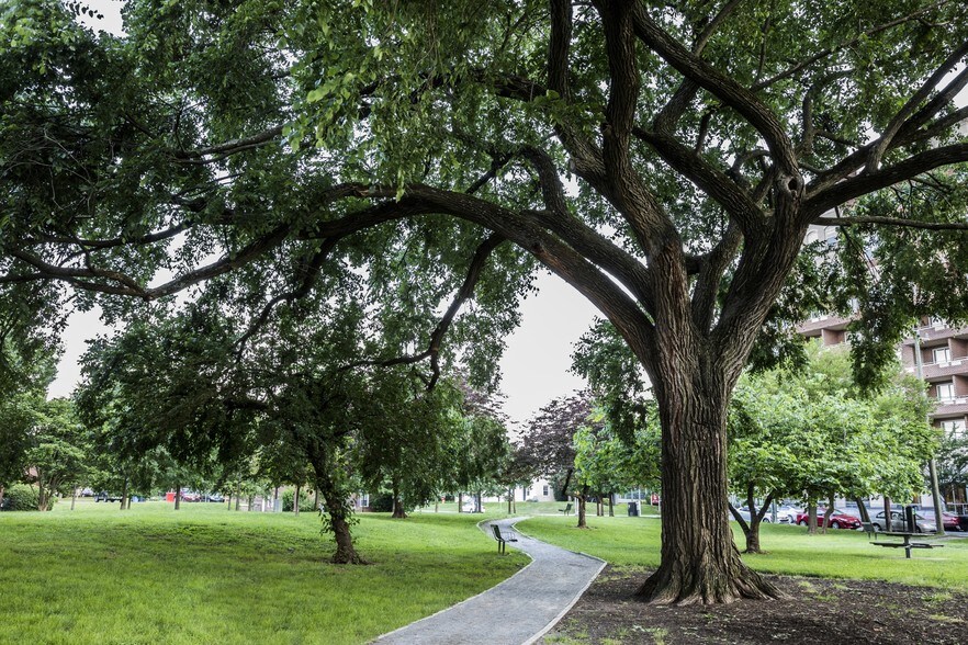3601 Wilson Blvd, Arlington, VA à louer - Photo de l’immeuble – Image 2 sur 13