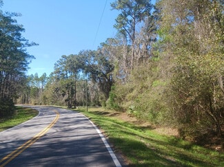 Plus de détails pour Dover Bluff Road, Waverly, GA - Terrain à vendre