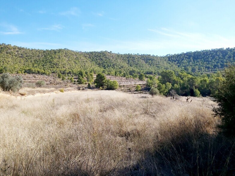 Terrain dans La Romana, Alicante à vendre - Aérien – Image 1 sur 3
