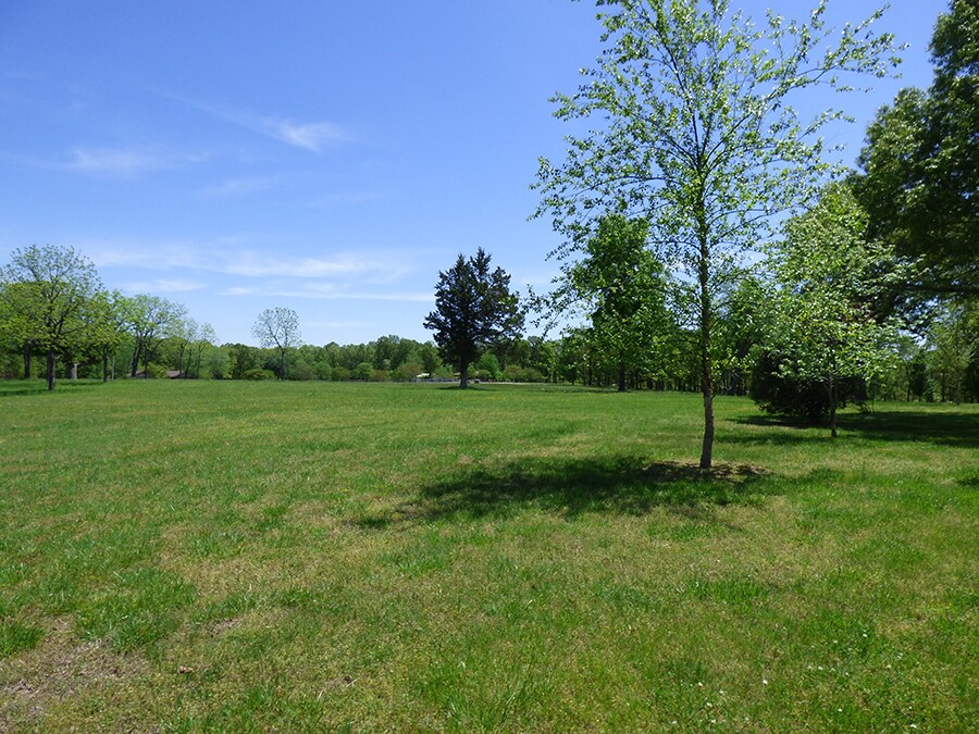 View Photo