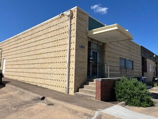 Plus de détails pour 1303 Chemical St, Dallas, TX - Industriel/Logistique à louer