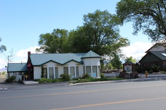 Plus de détails pour 1671 US Highway 395 N, Minden, NV - Bureau/Local commercial à louer
