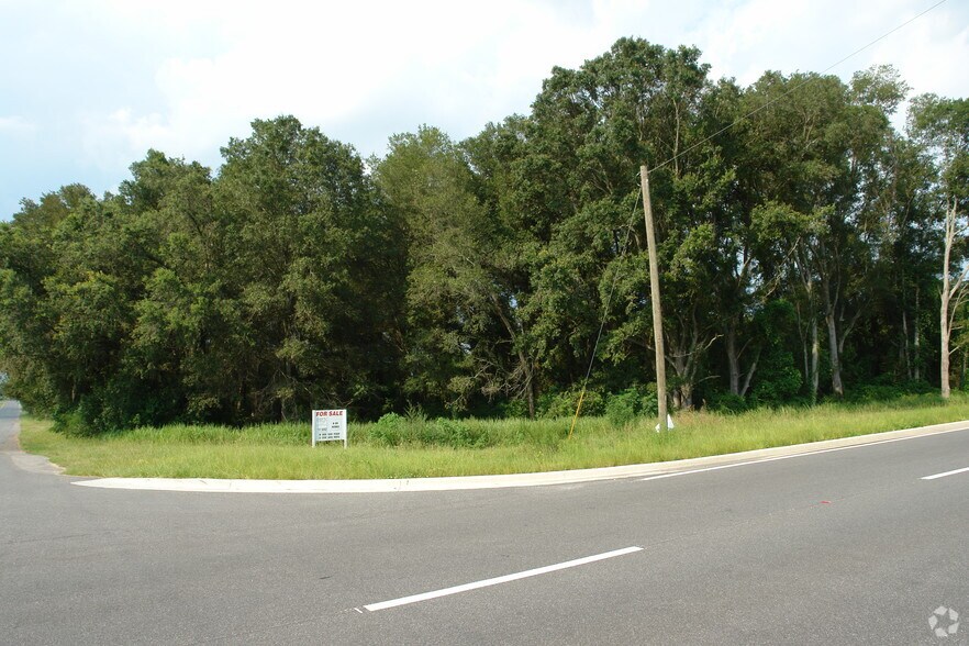 0 Highway 42, Summerfield, FL à vendre - Photo de l’immeuble – Image 3 sur 3