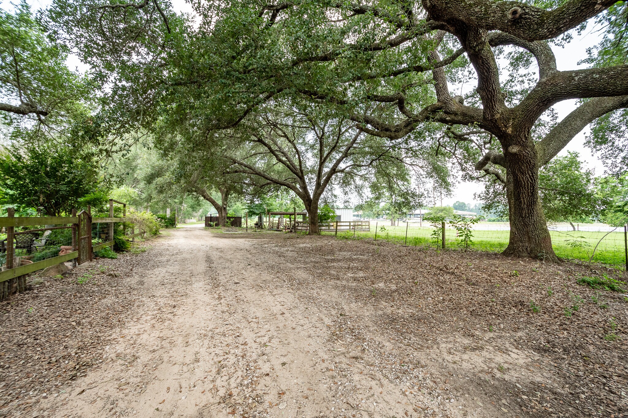 17801 Nonesuch Rd, Conroe, TX à vendre Photo principale– Image 1 sur 13
