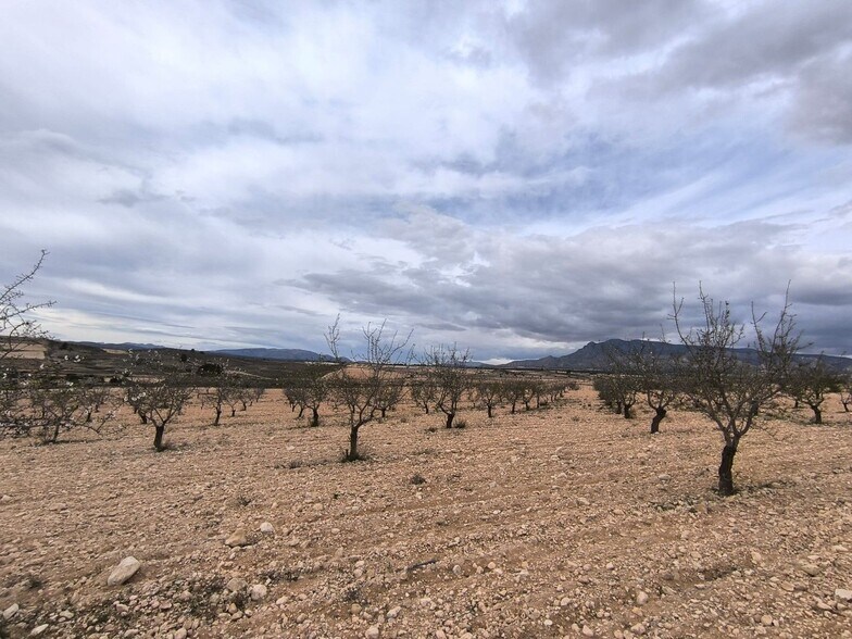 Terrain dans Yecla, Murcia à vendre - Aérien – Image 3 sur 4