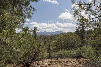 Plus de détails pour 1200 Airport, Payson, AZ - Terrain à vendre