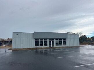 Plus de détails pour 1105-1111 Old Country Rd, Riverhead, NY - Bureau/Local commercial à louer