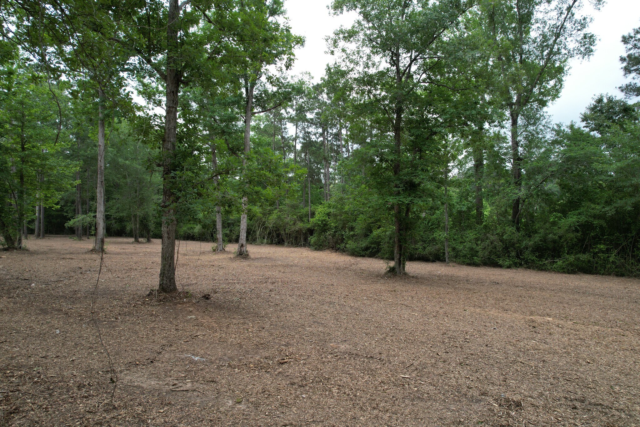 6204 U.S. 190 W w, Livingston, TX à vendre Autre– Image 1 sur 15