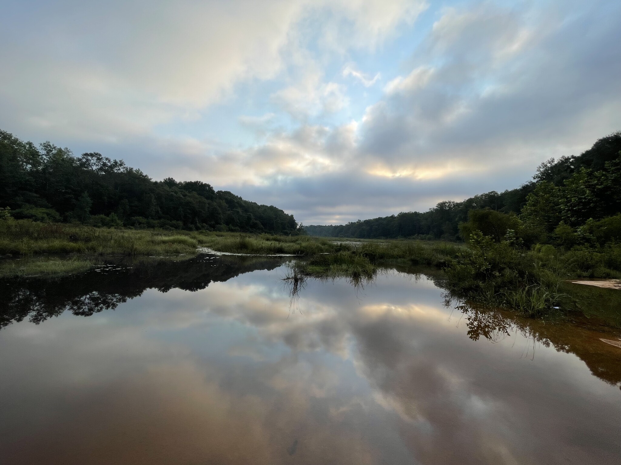 00 Bull Branch, Coffee Springs, AL à vendre Autre– Image 1 sur 7