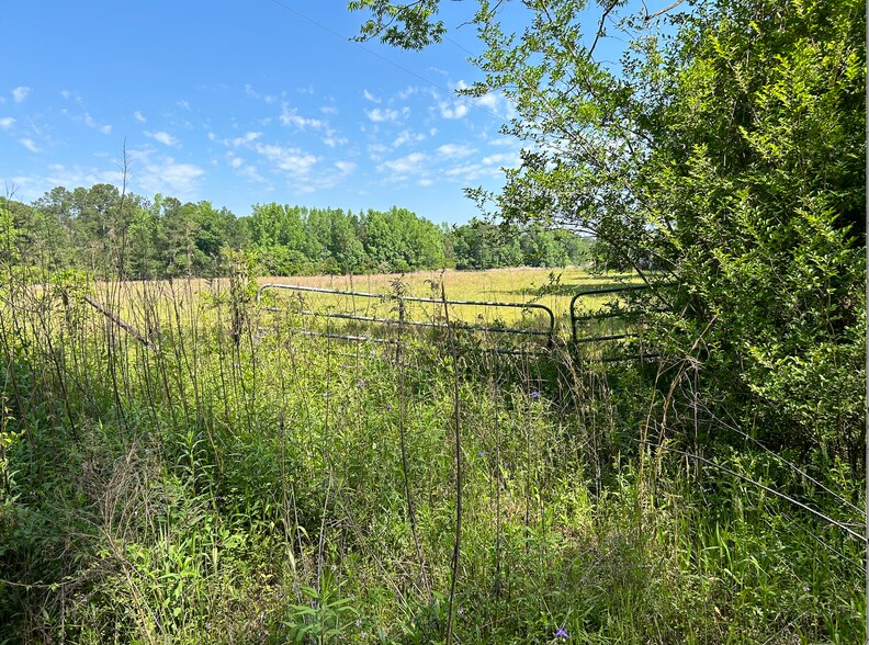 4115 Seed Tick Rd, Ellabell, GA à vendre - Photo de l’immeuble – Image 1 sur 10