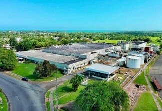 Plus de détails pour 698 PR - ROAD 698 NO. 100, Dorado - Industriel/Logistique à louer