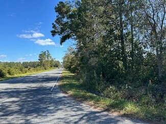 Plus de détails pour SW Bascom Norris Dr, Lake City, FL - Terrain à vendre