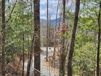 Plus de détails pour 00 Camp Branch Rd, Topton, NC - Terrain à vendre