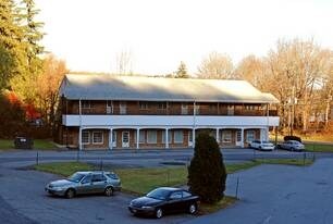 529 Route 52, Carmel, NY à louer - Photo de l’immeuble – Image 3 sur 20