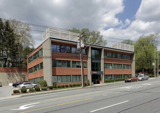 Plus de détails pour 305 Northern Blvd, Great Neck, NY - Bureau à louer